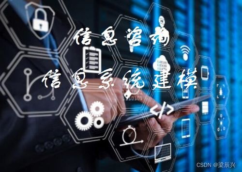 信息系統(tǒng)建模與分析 驅(qū)動(dòng)電子商務(wù)技術(shù)開發(fā)的關(guān)鍵引擎